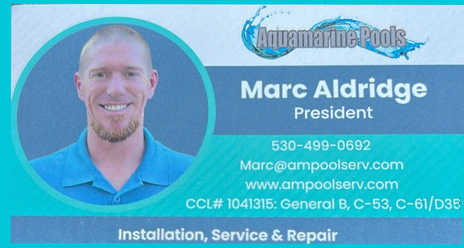 marc aldridge aquamarine copy